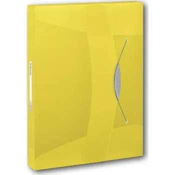 Pořadač / Organizér A4 Esselte