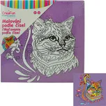 Malování na plátno - Kočka 30 x 30 cm