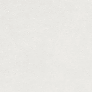 Dlažba RAKO Dlažba Rako Extra bílá struktura mat rektifikovaná 20x20 DAR25722 DAR25722