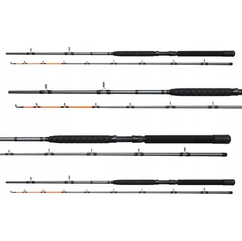 Rybářský prut Prut DAM Salmonizer Planer 2,40m 20-35lb