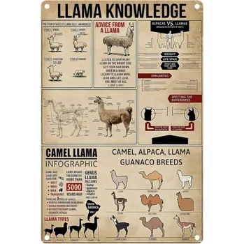 Plechová cedule Kovová cedule Llama Knowledge