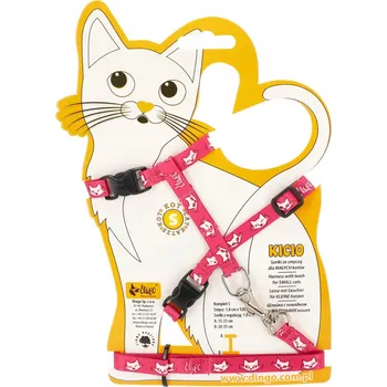 Vodítko pro psa Dingo Postroj + Vodítko pro malé kočky KICIO modré