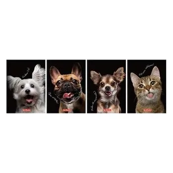 Set školních potřeb Brulion A6/80K kratka Animals (5szt)