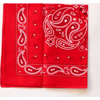Látkový kapesník Šátek Etex Kašmír B02 1 ks - červený