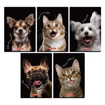 Dětské zboží Zeszyt A5/16K kratka kolorowa Animals (20szt)