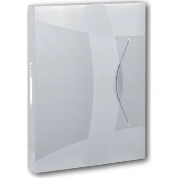 Pořadač / Organizér A4 Esselte