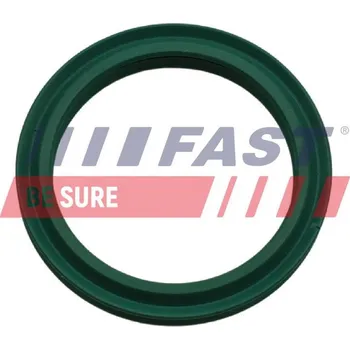 Příslušenství pro turbodmychadlo Těsnicí kroužek, hadice plnicího vzduchu FAST FT48933