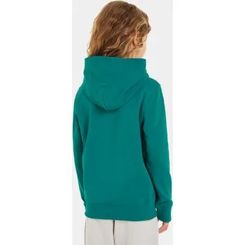 Pánská mikina Calvin Klein Jeans Mikina Small Monogram IU0IU00266 Zelená Regular Fit 10Y