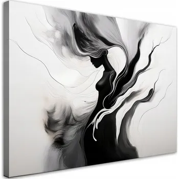 Obraz Obraz na plátně, Žena Abstrakt Černobílá Akvarel 60x40