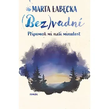 Kniha (Bez)vadní 2 – Připomeň mi naši minulost