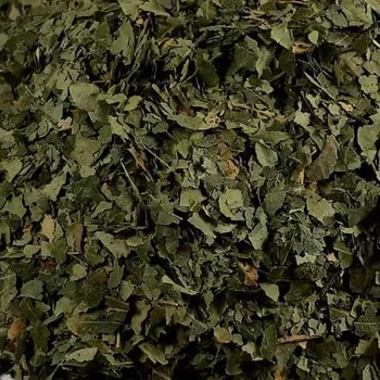 Čaj Bříza bělokorá list 100g Zelené Drahokamy