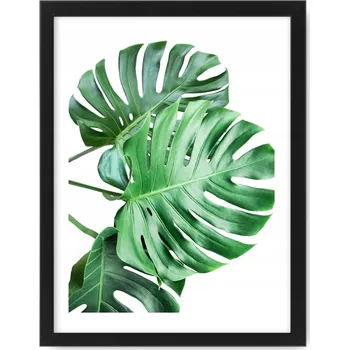 Obraz Obrazový plakát MONSTERA A4 24X33, rámeček ikea
