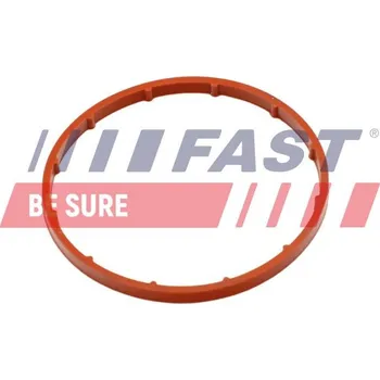 Vakuové čerpadlo Těsnění, vakuové čerpadlo FAST FT50701