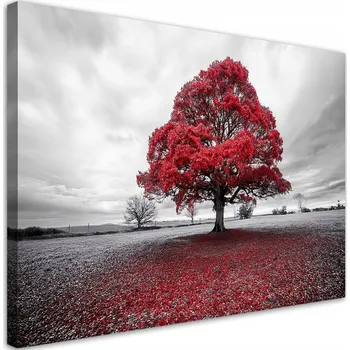 Obraz Obraz na plátně, Červený Strom Krajina Pejzaž 90x60
