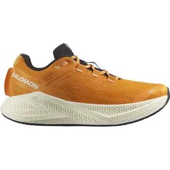 Pánská běžecká obuv Běžecké boty Salomon Aero Glide 3 m 44 EUR