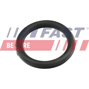 Automobilové těsnění Těsnění, koleno sacího potrubí FAST FT49420