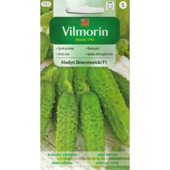 Semeno Okurka polní Aladyn Skierniewicki F1 (nakládačka, hruboostná, odolná plísni)