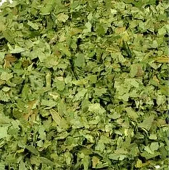 Koření Česnek medvědí sušený list 100g Zelené Drahokamy