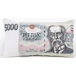 Škodák Polštář 3D 30 x 50 cm