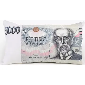 Dekorativní polštářek Škodák Polštář 3D 30 x 50 cm