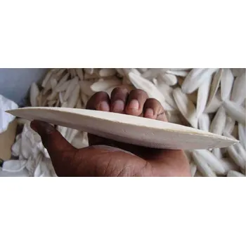 Krmivo pro ptáka Sépiová kost malá cca 10 cm 1ks