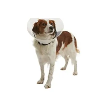 KRUUSE Límec ochranný BUSTER plastový Clic Collar 20cm