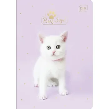 Sešit Sešit A5 s linkami Interdruk, 32 listů