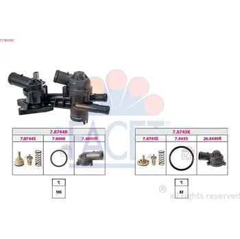 Těsnění motoru Termostat, chladivo FACET 7.7962KK
