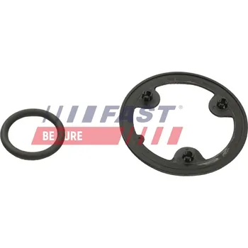 Chladič motoru Těsnicí kroužek, chladič oleje (mazání) FAST FT48954