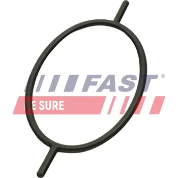 Chladič motoru Těsnicí kroužek, šroub chladiče FAST FT49923