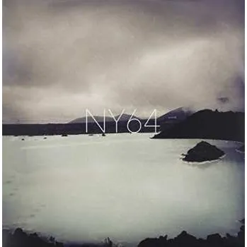 Zahraniční hudba LP NY In 64: Ny In 64 2015