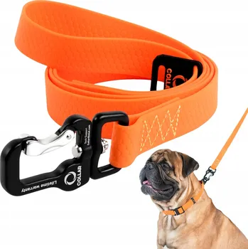 Obraz Tradiční Vodítko Collar , materiál 3 m