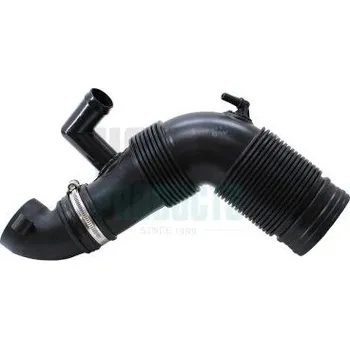 Motor automobilu Hadice plnícího vzduchu HOFFER 961254