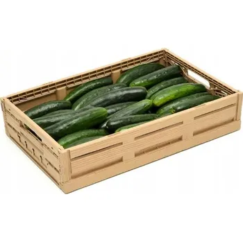 Obraz Univerzální koš plast béžový