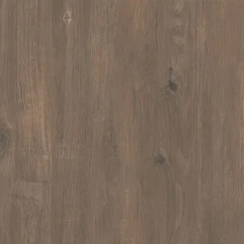 Dlažba DLAŽBA VENTWOOD 2CM BROWN MAT 59,3X59,3 #313