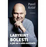 Labyrint bolesti