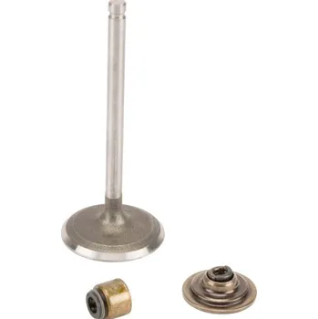 Motor automobilu Briggs &amp; Stratton Sací ventil 791935