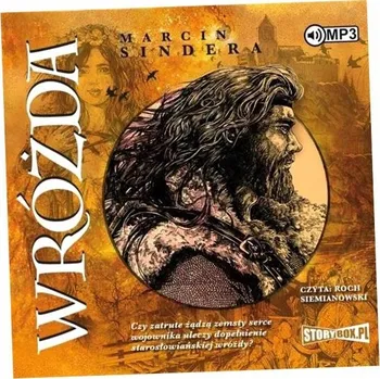 CD MP3 WRÓŻDA Marcin Sindera