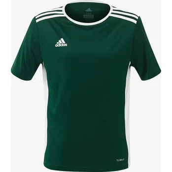 Fotbal Dětský dres adidas ENTRADA 18 JSY JR zelená/bílá