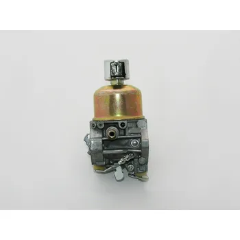 Karburátor Briggs & Stratton 791886 Karburátor