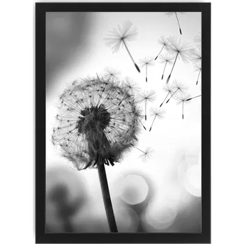 Obraz Pampeliška , obrázek A4 24X33 plakát , fotorámeček, ikea