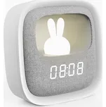 Forever Light Aurora RTV100554