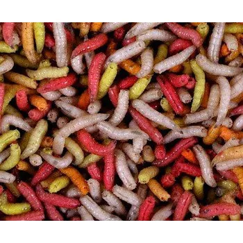 Návnadová surovina Larvy - krabička 100ml