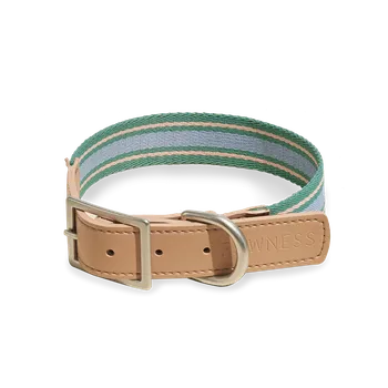 Obojek pro psa Pawness Obojek z veganské kůže TRIX Barva: Emerald/Nude, Velikost: Small