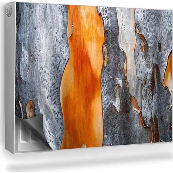 Obraz Magnetická podložka na radiátor Kůra stromu jantarová pryskyřice 80x60