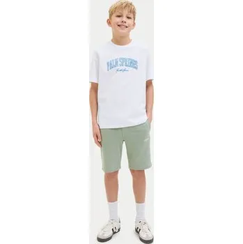 Pánské tričko Jack & Jones T-Shirt Detroit 12269816 Bílá Relaxed Fit 176