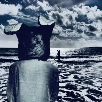 Zahraniční hudba CD Vamberator: Age Of Loneliness CLR | LTD 2025 1st Press On Audiophile Gold CD Coloured Vinyl Limited Edition