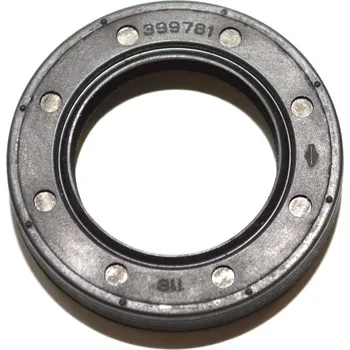 Sekačka Briggs &amp; Stratton Gufero 399781S