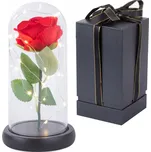 Verk 26069 růže ve skleněné váze 20 LED