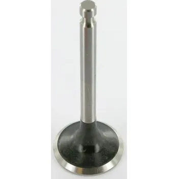 Ventil Ventil výfukový A70319